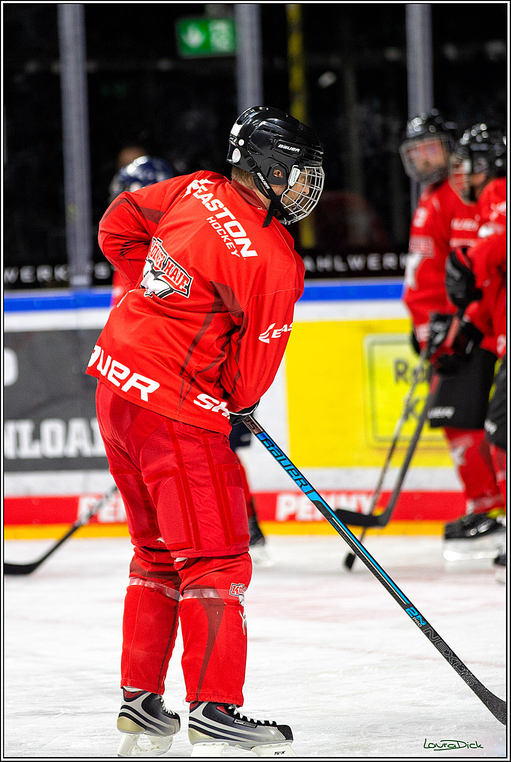 PENNY DEL; Koelner Haie- Red BUll Muenchen Sponsorenspiel; Koeln, 08.11.2022